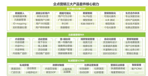 CRM全解析与信息技术咨询服务——企业数字化转型的指南针